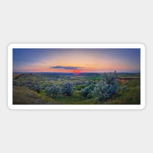 Panoramic summer sunset Sticker